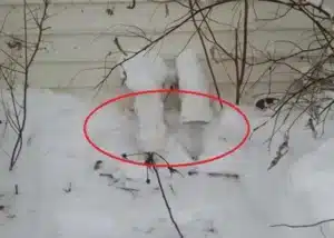 A close-up photograph of two white PVC furnace vent pipes protruding from the side of a house, circled in red to show they are nearly buried in deep snow, illustrating the importance of keeping HVAC intakes and exhausts clear.