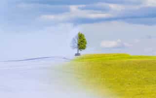 Climate change from winter to summer time over the year