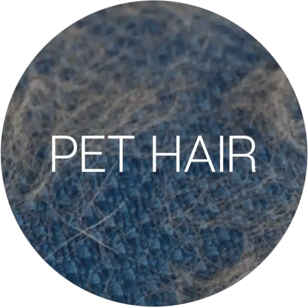 Humidifier removes pet hair at Connecticut