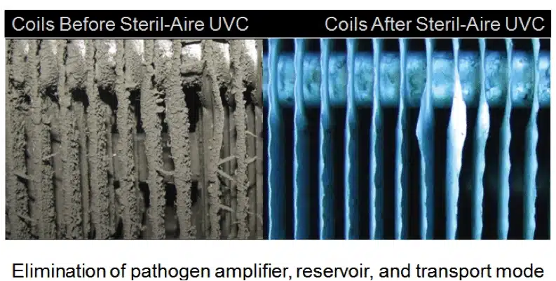 UV Bulbs, Coils Before and After Steril-Aire UVC at Connecticut