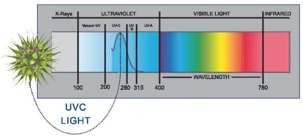 UV Bulbs, What is Ultraviolet at Connecticut